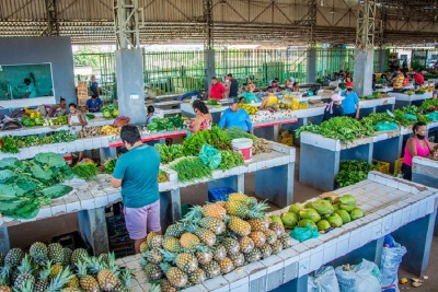 notícia: Feiras do Produtor de Macapá e Santana movimentaram R$ 4,2 milhões no primeiro trimestre de 2023