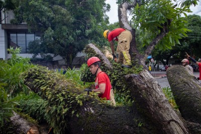 notícia: Com o aumento do volume das chuvas, Corpo de Bombeiros orienta a população sobre cuidados para evitar acidentes