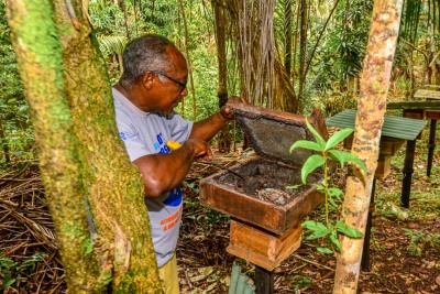 notícia: Governo do Amapá oferta mais de 600 vagas em capacitações do setor rural na 52ª Expofeira