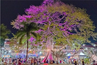 notícia: Com parceria do Governo do Amapá, Luau da Samaúma volta a reunir música, artesanato e gastronomia em Macapá