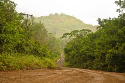 notícia: Governo do Estado promove debate sobre as perspectivas da concessão florestal no Amapá