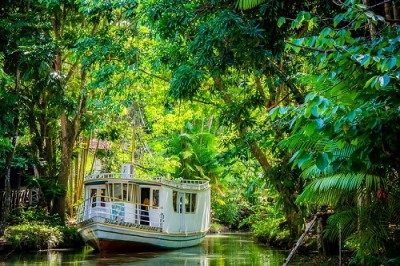 notícia: Com apresentação de projetos sustentáveis, Governo do Amapá realiza I Fórum Estadual de Educação Ambiental