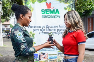 notícia: No Junho Verde, Governo do Amapá reforça compromisso com o desenvolvimento sustentável