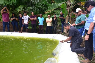 notícia: Governo do Amapá entrega 20 mil peixes para piscicultura na comunidade do Ariri, em Macapá