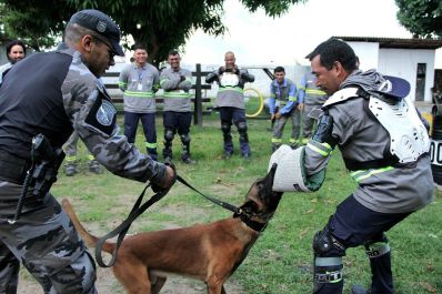 notícia: Polícia Militar do Amapá capacita leituristas de energia contra ataques de cães; confira dicas
