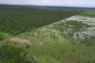 notícia: Secretaria de Meio Ambiente monitora mudanças na foz do Rio Araguari