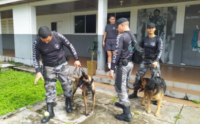 notícia: Polícia Militar treina agentes de segurança do Amapá, Santa Catarina e Maranhão para o trabalho com cães