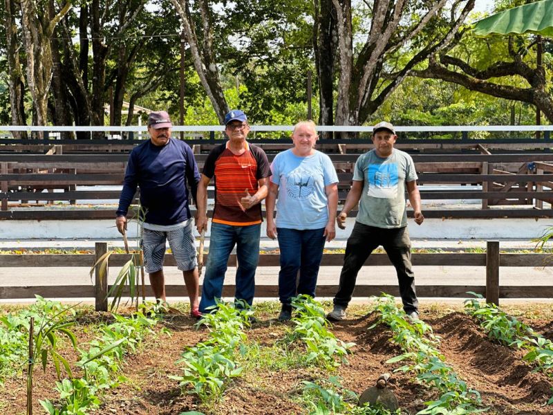 Técnicos da SDR focam nos trabalhos de capina, introdução de mudas e preparo do solo