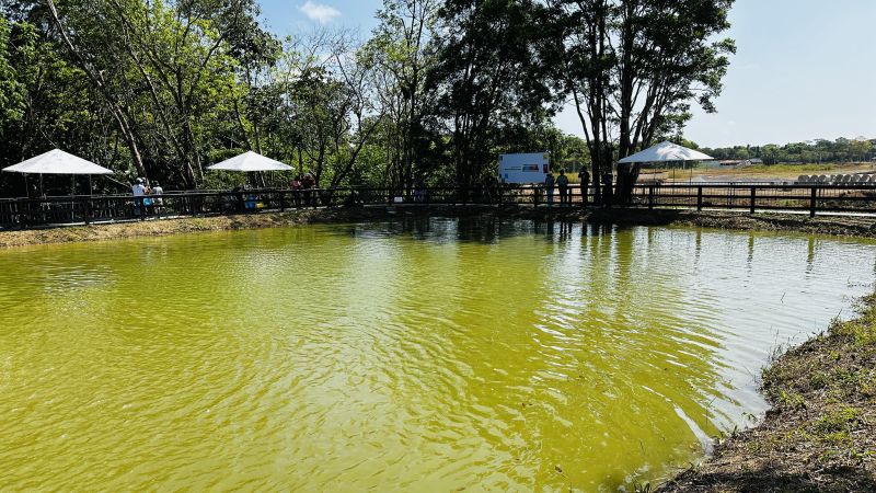 'Pesque e Troque' durante a 53ª Expofeira do Amapá