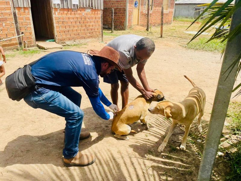 A raiva é uma doença infecciosa que pode ser transmitida para humanos