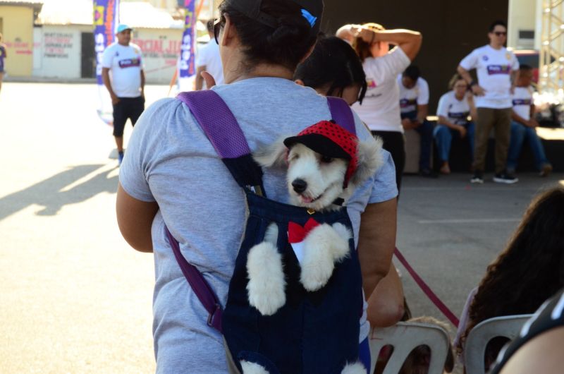 Animais foram a atração principal da iniciativa