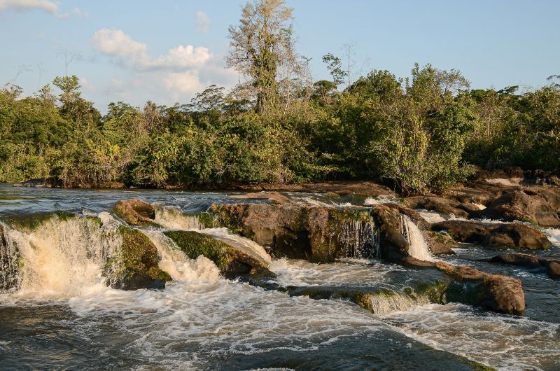 Amapá é o único estado com taxa zero de desmatamento em 2024