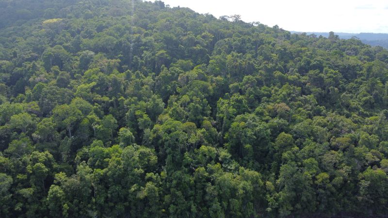 O Amapá abriga um dos maiores percentuais de áreas protegidas do Brasil