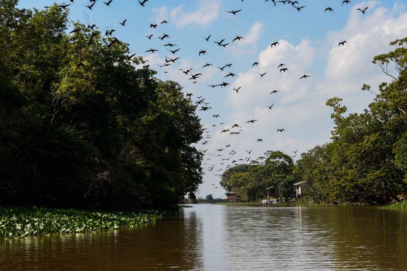 Evento tem dois pilares: a valorização dos povos tradicionais e a natureza como protagonista dos debates