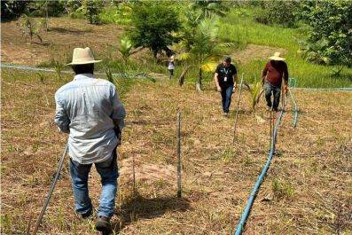 notícia: Governo do Estado irrigará 160 hectares de área para fruticultura com o programa ‘Amapá mais Produtivo’