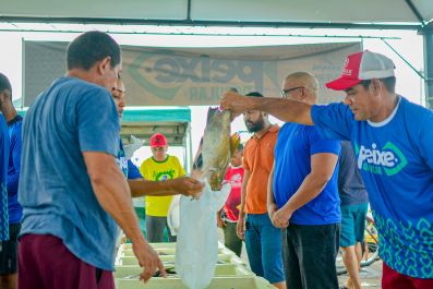 notícia: Peixe Popular: programa do Governo do Estado garante 50 toneladas de pescado com preços acessíveis até sexta-feira, 29