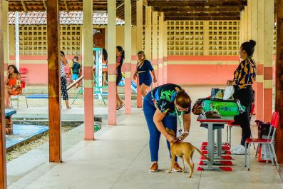 notícia: Abril Laranja: Governo do Amapá realiza campanha de vacinação para cães no Conjunto Macapaba, em Macapá