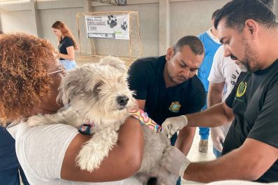 notícia: Governo do Amapá leva imunização contra viroses para mais de 200 cães no Conjunto Macapaba, em Macapá 