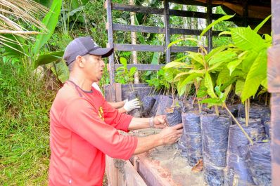 notícia: Governo do Amapá investe mais de R$ 32 milhões em programa de incentivo à agricultura familiar no estado