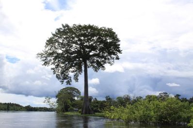 notícia: Governo do Amapá dá dicas de férias ecológicas e sustentáveis para o cuidado com o meio ambiente