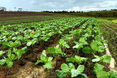 notícia: 'Não vamos descansar enquanto os agricultores não tiverem suas licenças para produzir', reforça governador ao abrir ano legislativo