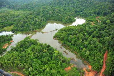 notícia: Governo do Amapá avança para etapa de conclusão do programa de Zoneamento Ecológico-Econômico do estado  