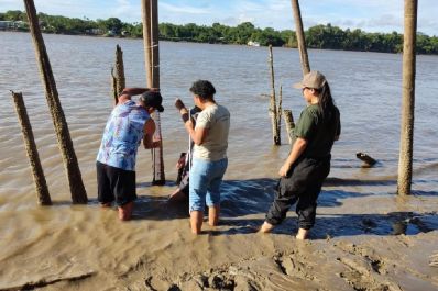 notícia: Governo do Amapá inicia 2ª fase de trabalho que monitora impacto das mudanças climáticas na foz do Rio Amazonas 