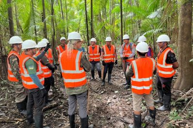 notícia: Técnicos rurais do Governo do Amapá participam de capacitação em manejo de açaizais nativos, em Macapá 