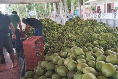 notícia: Governo do Amapá garante arrecadação de mais de R$ 50 mil para agricultores no distrito de Bailique 