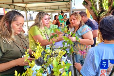 notícia: Junho Verde 2024: Governo do Amapá promove Feira de Bioeconomia Sustentável