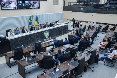 notícia: Governo do Amapá e Assembleia Legislativa debatem as potencialidades da economia do açaí no estado