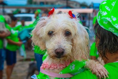 notícia: Governo do Amapá realiza 2ª ‘Cãominhada’ para conscientizar população sobre maus-tratos e saúde mental dos animais