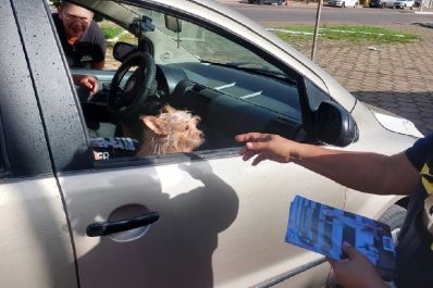 notícia: Abril Laranja: Governo do Amapá promove blitz educativa de trânsito e vacinação para cães, em Mazagão