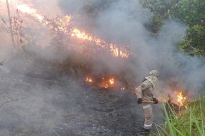 notícia: Operação Amapá Verde: Governo do Estado dá início ao 1º ciclo de combate a queimadas e incêndios florestais