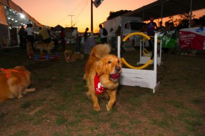 notícia: Concurso Pet para definir melhor animal com fantasia agro da 53ª Expofeira do Amapá acontece neste sábado, 7