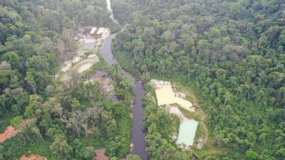 notícia: Em ação integrada, equipes do Governo do Amapá desativam oito garimpos ilegais no estado