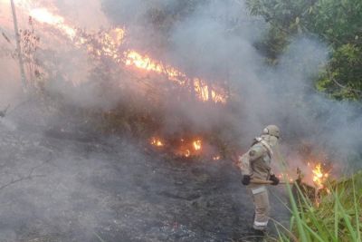 notícia: Seca e estiagem: Governo do Amapá decreta situação de emergência em saúde nos 16 municípios