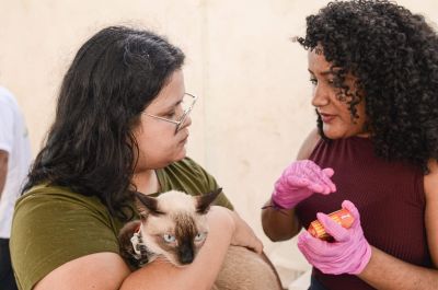 notícia: Governo do Amapá promove ação de cuidados e bem-estar animal para mais de 100 pets no Residencial Vila dos Oliveiras