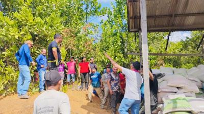 notícia: Amapá Cacau: Governo do Estado entrega 40 toneladas de insumos agrícolas em Serra do Navio