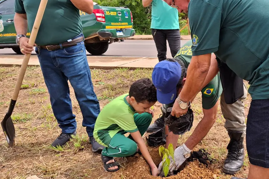 Ação busca conscientizar sobre a preservação do meio ambiente e criar benefícios como o paisagismo e qualidade na mobilidade urbana