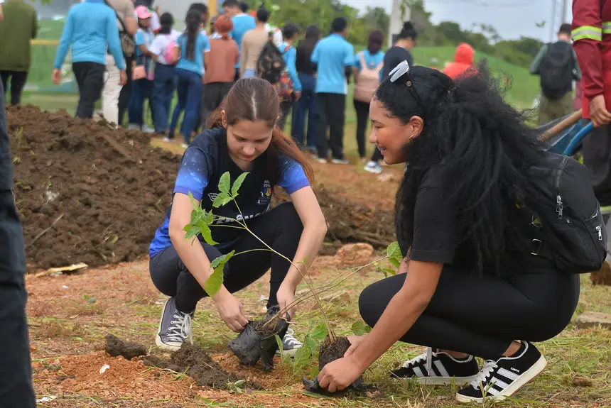  <div class='credito_fotos'>Foto: Maksuel Martins/GEA   |   <a href='/midias/2025/originais/20250605132413-GF00016139-F00192186.webp' download><i class='fa-solid fa-download'></i> Download</a></div>