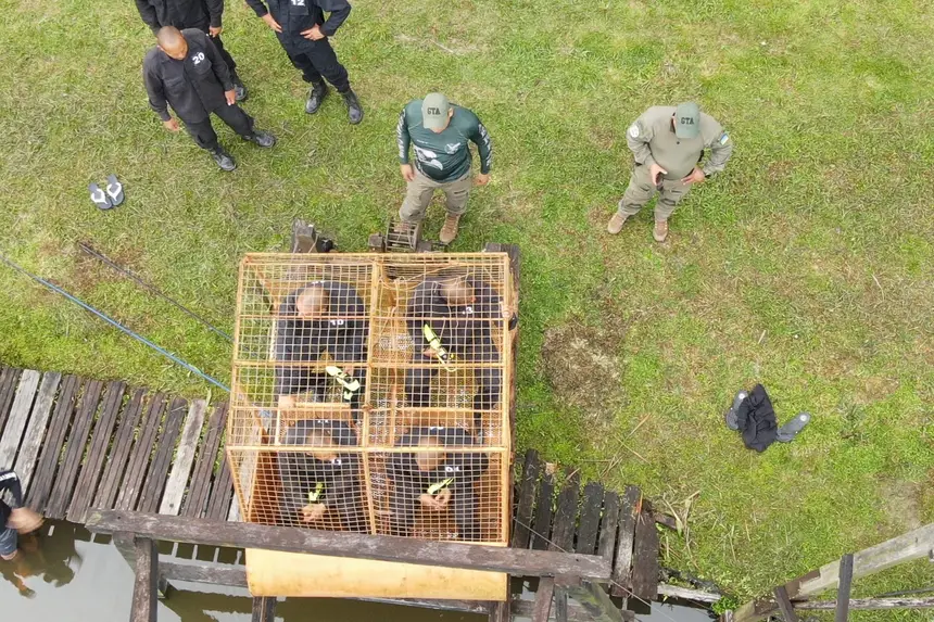 Em uma estrutura arremessada em meio líquido, alunos vivenciam simulação de queda de aeronave 