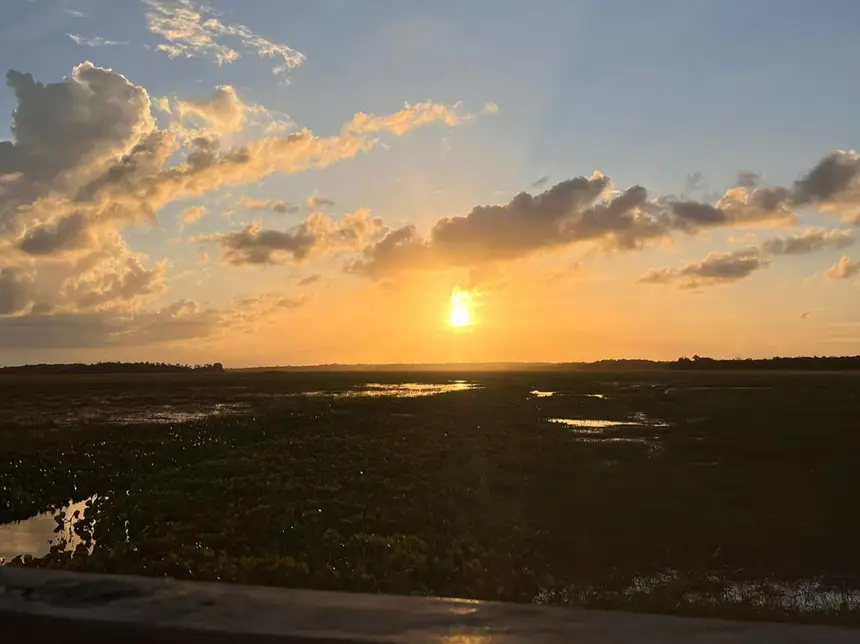  <div class='credito_fotos'>Foto: Fabiana Figueiredo / GEA   |   <a href='/midias/2025/originais/20250818093430-GF00016403-F00201446.webp' download><i class='fa-solid fa-download'></i> Download</a></div>