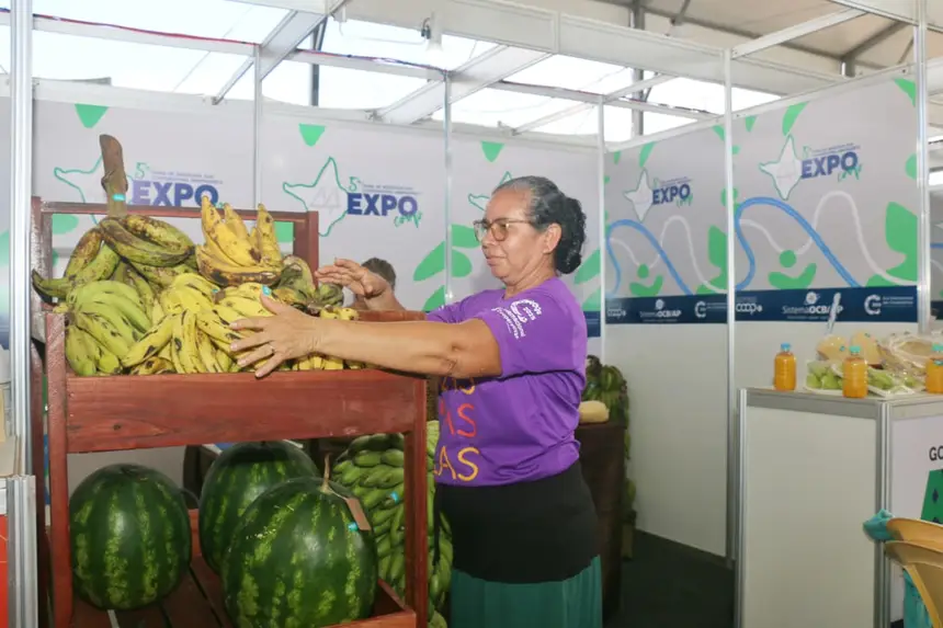  <div class='credito_fotos'>Foto: Aog Rocha/GEA   |   <a href='/midias/2025/originais/20250901200450-GF00016462-F00203262.webp' download><i class='fa-solid fa-download'></i> Download</a></div>