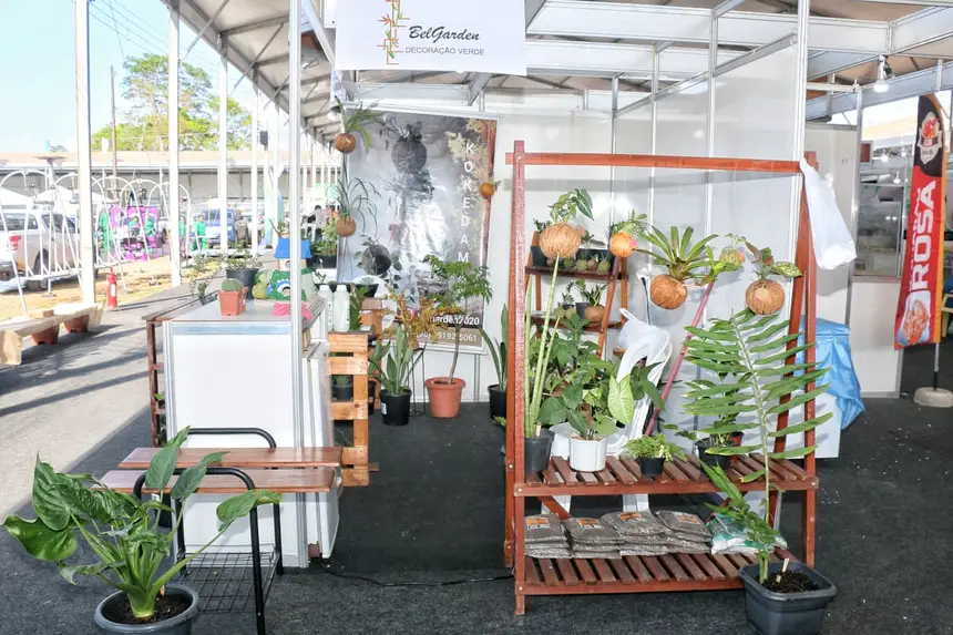  <div class='credito_fotos'>Foto: Aog Rocha/GEA   |   <a href='/midias/2025/originais/20250901200506-GF00016462-F00203277.webp' download><i class='fa-solid fa-download'></i> Download</a></div>