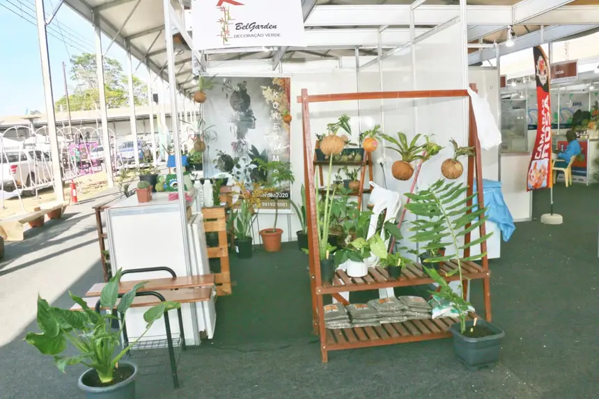  <div class='credito_fotos'>Foto: Aog Rocha/GEA   |   <a href='/midias/2025/originais/20250901200510-GF00016462-F00203281.webp' download><i class='fa-solid fa-download'></i> Download</a></div>