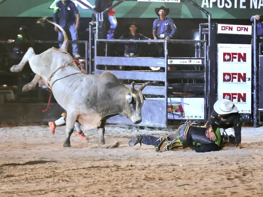  <div class='credito_fotos'>Foto: Jorge Júnior/GEA   |   <a href='/midias/2025/originais/20250902001800-GF00016468-F00203448.webp' download><i class='fa-solid fa-download'></i> Download</a></div>