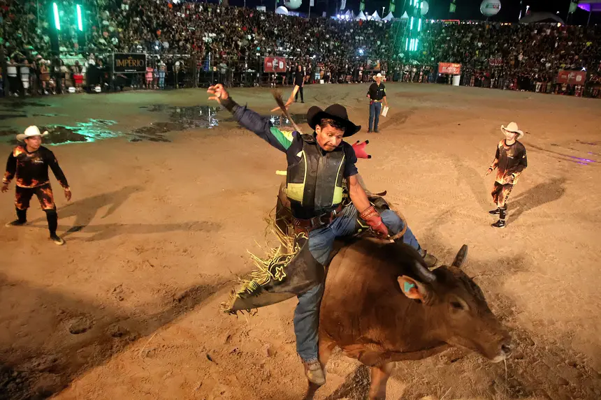  <div class='credito_fotos'>Foto: Jorge Júnior/GEA   |   <a href='/midias/2025/originais/20250905184730-GF00016494-F00204091.webp' download><i class='fa-solid fa-download'></i> Download</a></div>