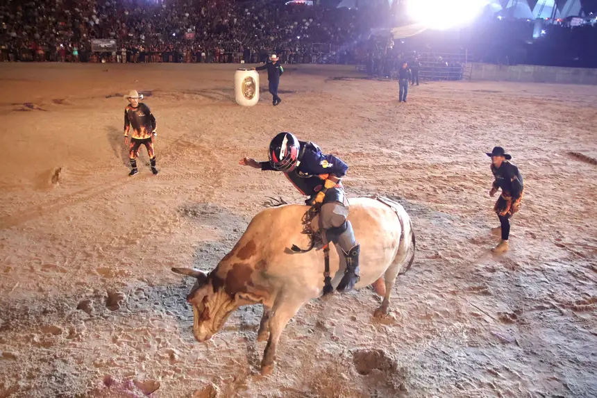  <div class='credito_fotos'>Foto: Jorge Júnior/GEA   |   <a href='/midias/2025/originais/20250905184737-GF00016494-F00204094.webp' download><i class='fa-solid fa-download'></i> Download</a></div>