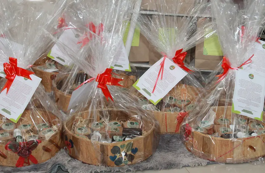  <div class='credito_fotos'>Foto: Márcia do Carmo/GEA   |   <a href='/midias/2025/originais/20251021165627-GF00016620-F00208001.webp' download><i class='fa-solid fa-download'></i> Download</a></div>